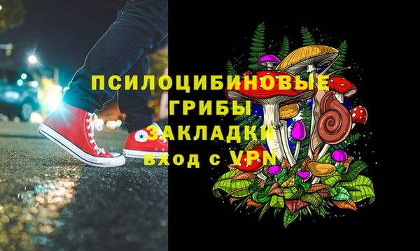 гашик Балабаново