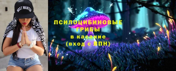 гашик Балабаново