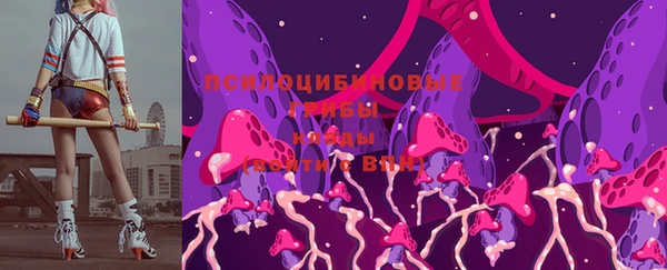 гашик Балабаново
